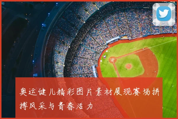 奥运健儿精彩图片素材展现赛场拼搏风采与青春活力