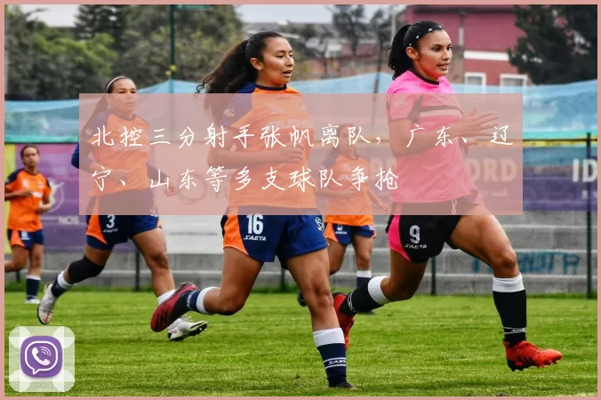 北控三分射手张帆离队，广东、辽宁、山东等多支球队争抢