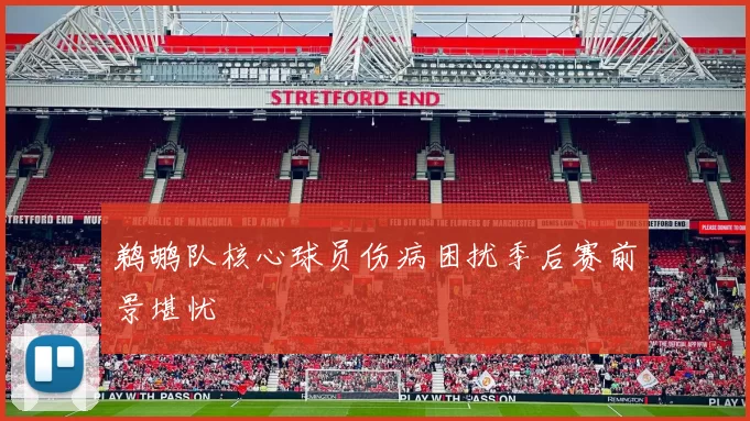 鹈鹕队核心球员伤病困扰季后赛前景堪忧