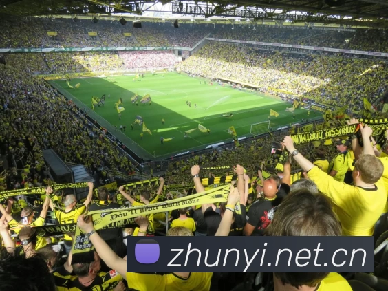 九游在线官方官网 - 九游(中国)平台生态图